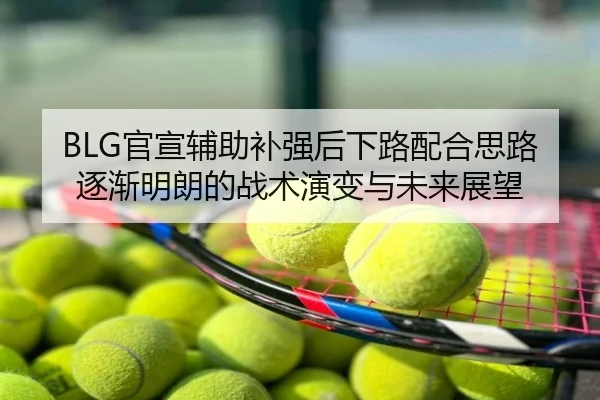 BLG官宣辅助补强后下路配合思路逐渐明朗的战术演变与未来展望